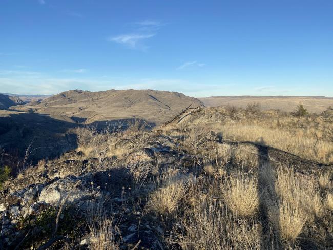 Looking north towards Arbuckle Mountain, another untouched SOTA summit