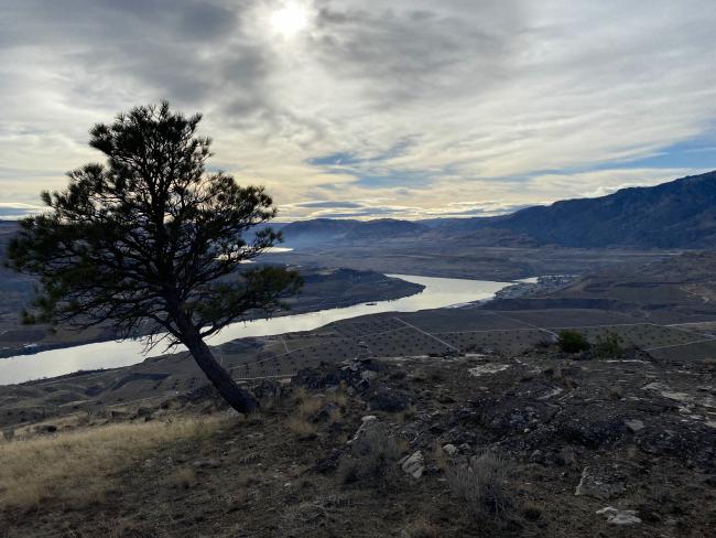 Looking south with the Columbia River below