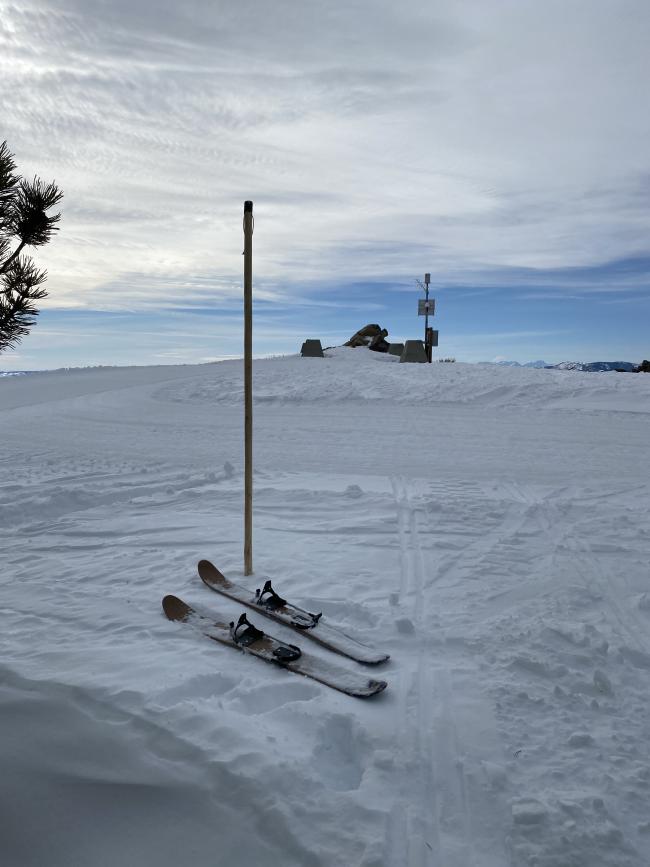A pair of skis and a large pole sitting on the snow