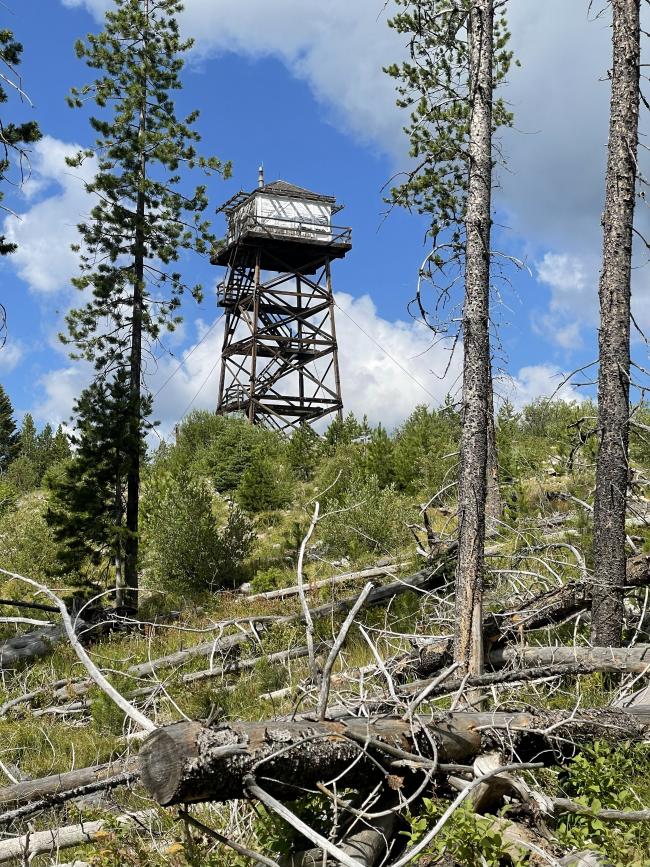 White Mountain Lookout