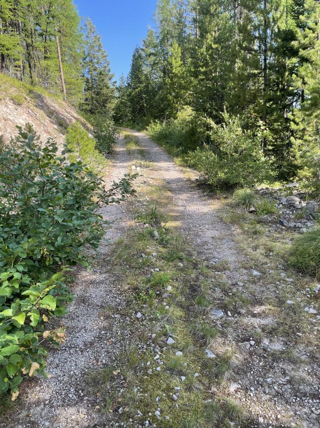 Hiking the closed road to the Lookout