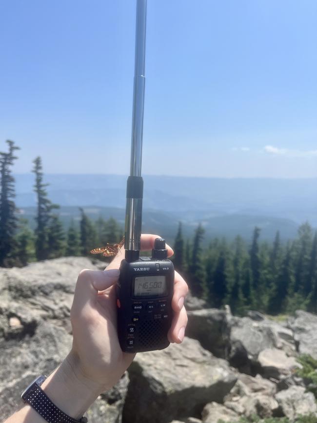 Butterfly perched on a hand and the hand holding a small transceiver.