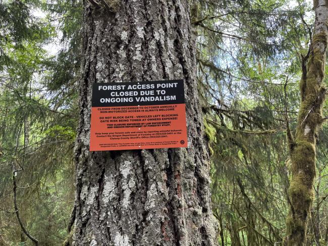 Sign mounted to a tree reading that access is closed December to October