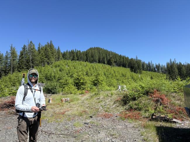 Man standing at the base of a forested summit about to hike