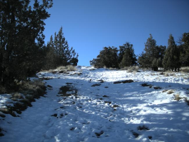 Jeep Trail to the top