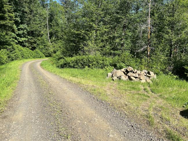 Parking area on Kilchis River Forest Road