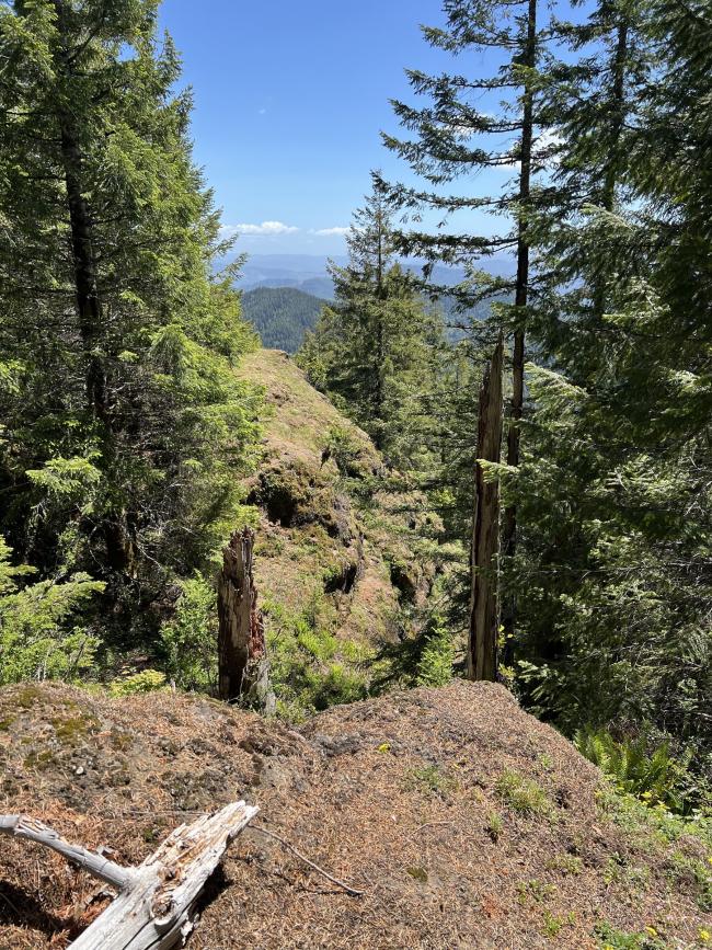 View of the summit