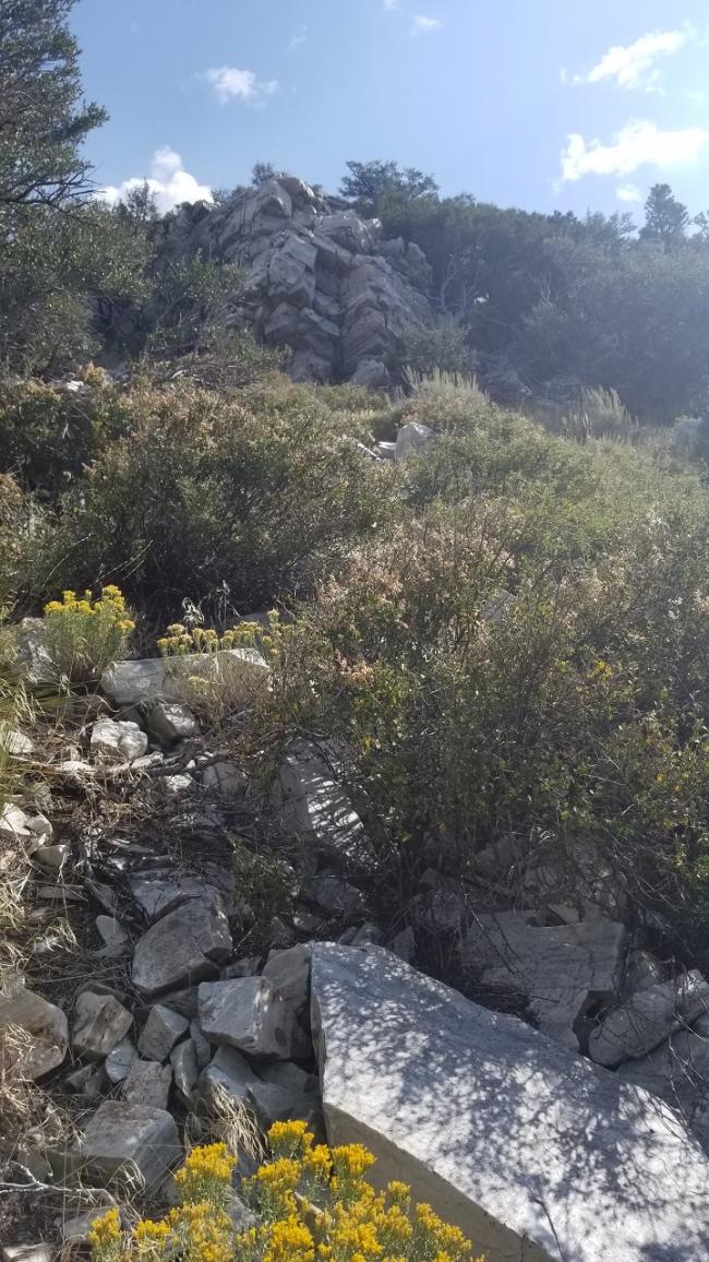 Rocks, boulders and brush, oh my!