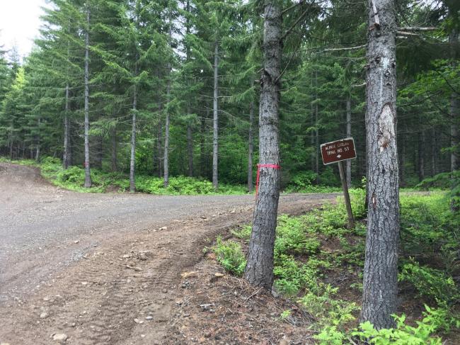 sign for Monte Cristo trail. Moved to this location since 2018 blog post