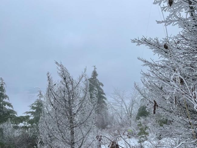 summit in freezing fog