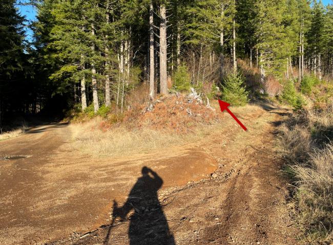 Red arrow for elusive trail