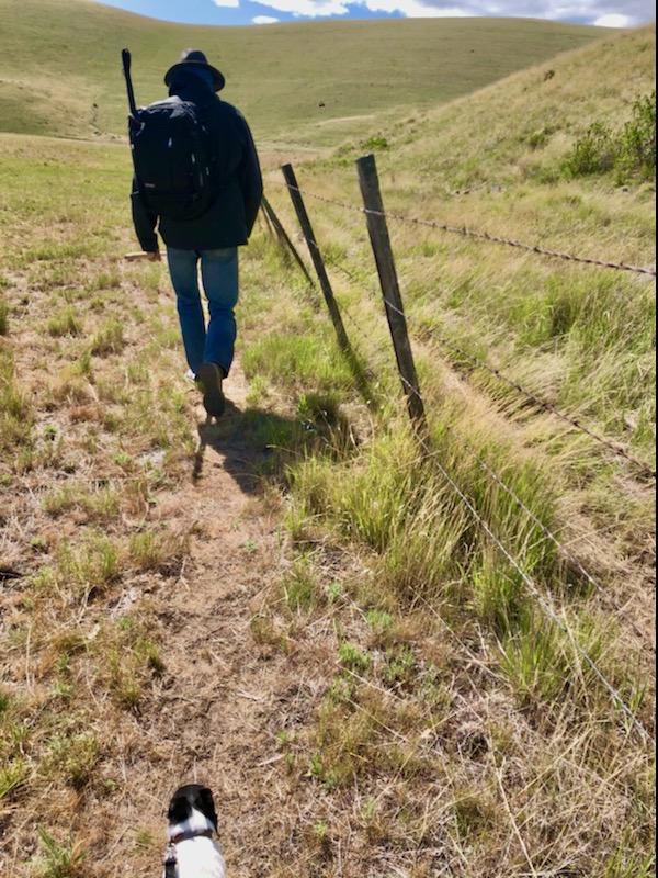 Heading South Along the Cattle Fence