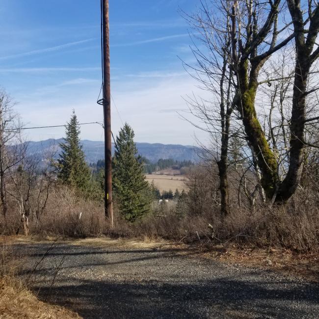 view north from near the top of the peak