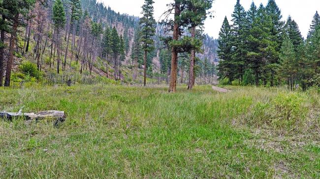 VIew at Brewster Creek Road View at BRewster Creek Road
