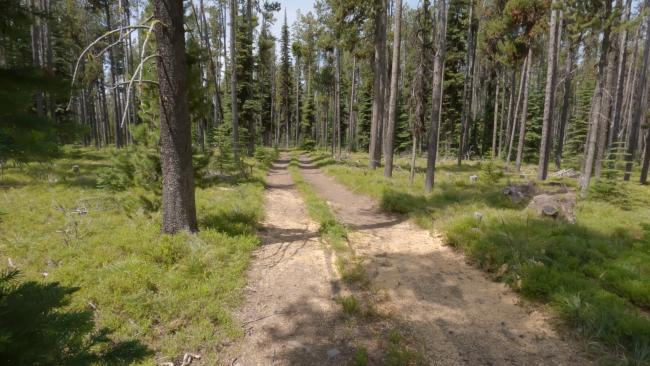 Summit is on the Access road FS 1339B