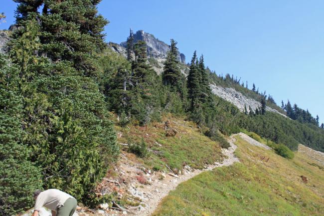 End of NPS trail Looking east at boot track to summit