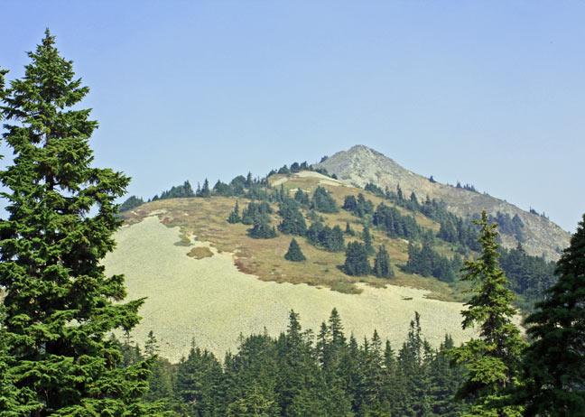 Silver Peak, WA SOTA Activation