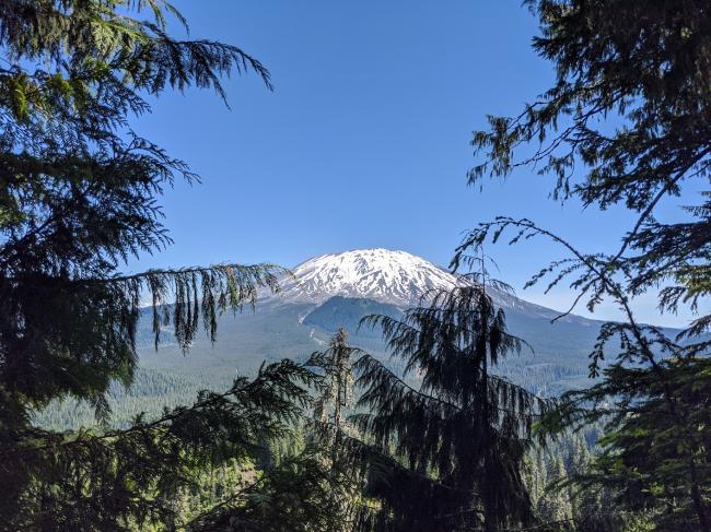 Mt. St. Helens from the trail