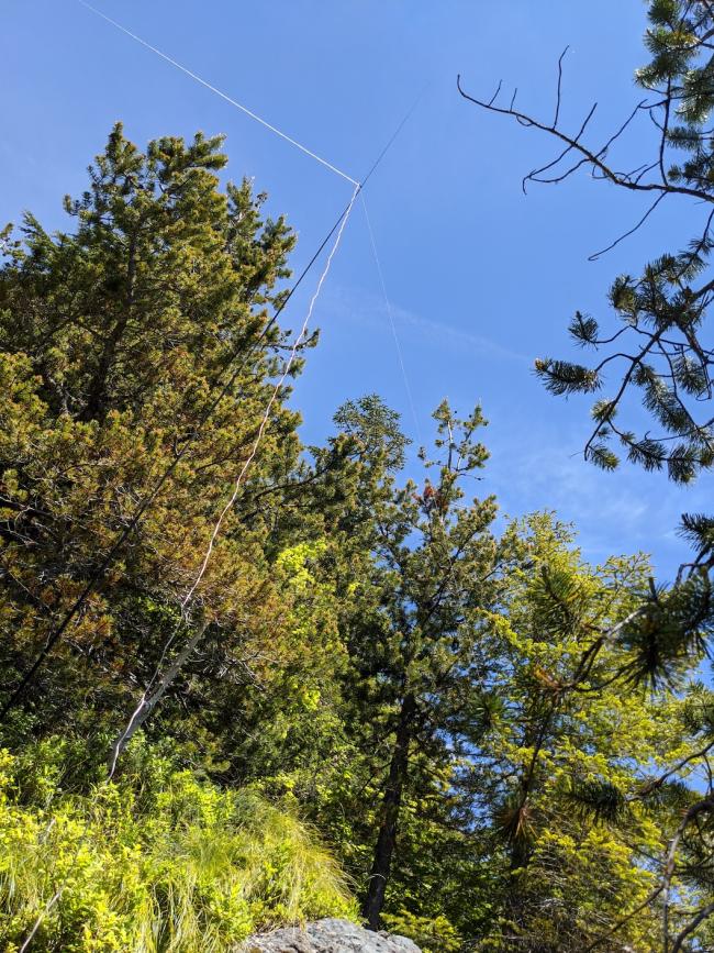 dipole strung up
