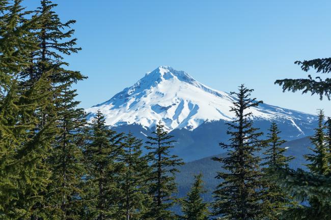 Mt Hood View from the tower