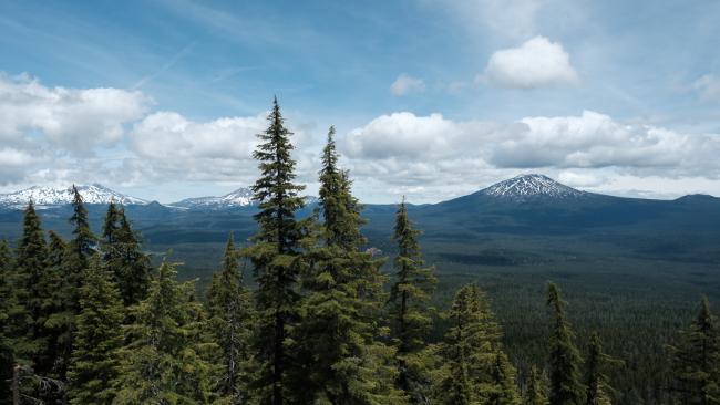 View from Williamson Mountain