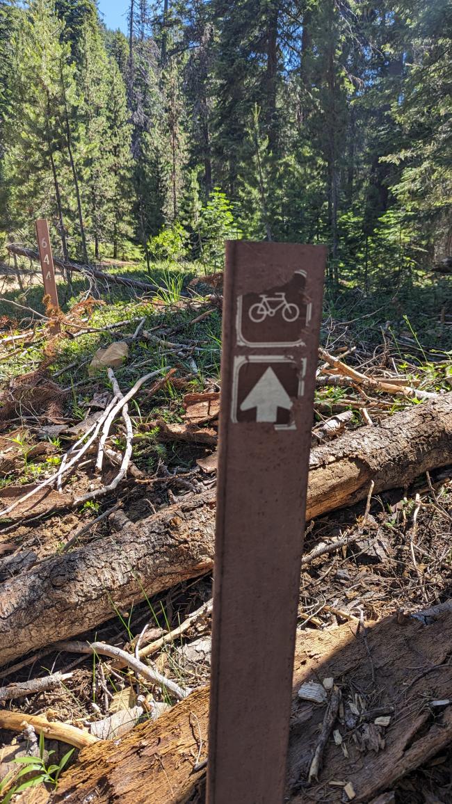 Bike sign with arrow