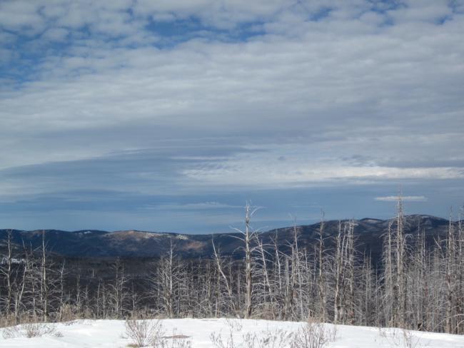 Looking north from summit