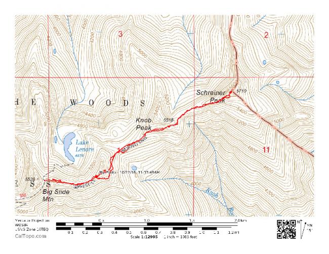 Rough track from trail to summit