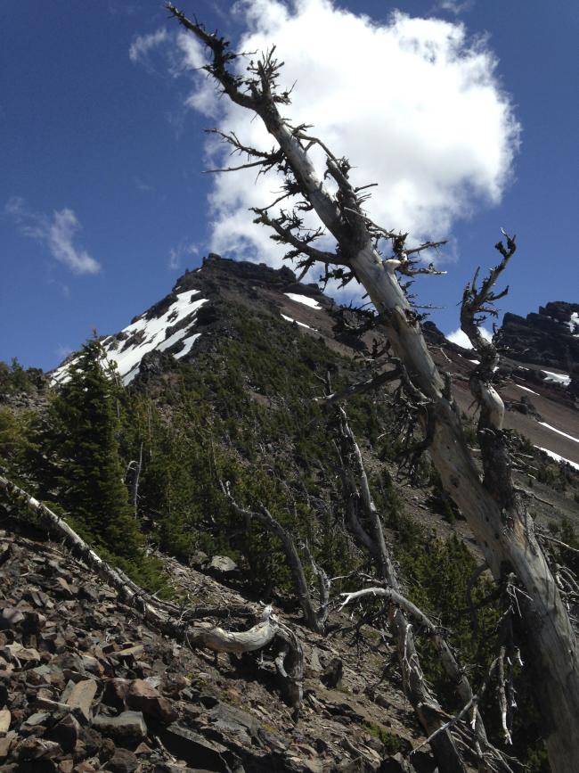 Looking up the northwest ridge towards the summit