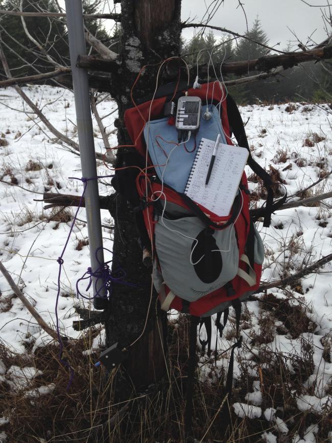 Station-in-a-tree