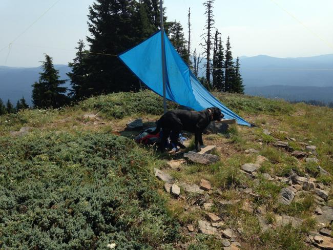 SOTA pole and its guy lines hold up the tarp on the summit