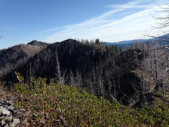 Unnamed peak, Knob Peak, Schreiner Peak at start of cross country