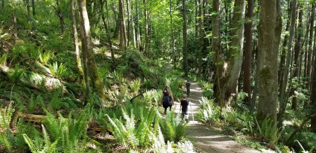 Hiking back down with the family