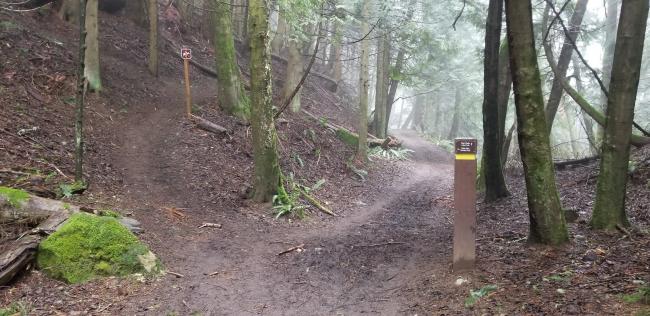 Turn left here on the Cedar Lake Overlook trail (sign marker on the right)