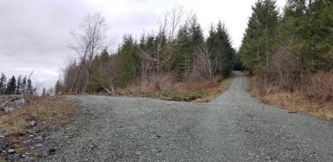 Looking at summit, go straight up this hill and then turn left to summit area