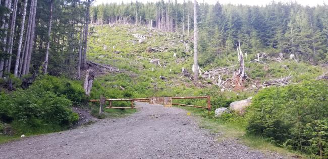 Gate at start of road hike - NF-210