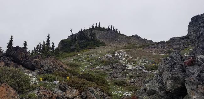 Nearing Eagle Point summit