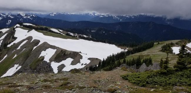 From summit, looking back at trail