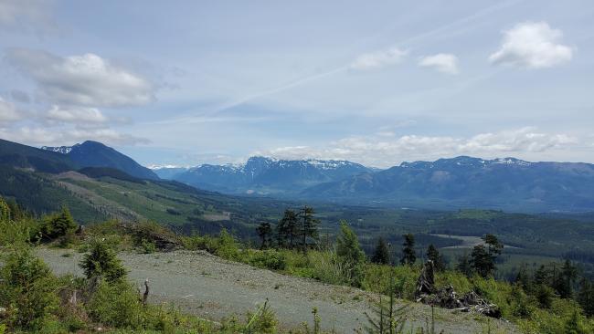 View from summit looking approx. southeast