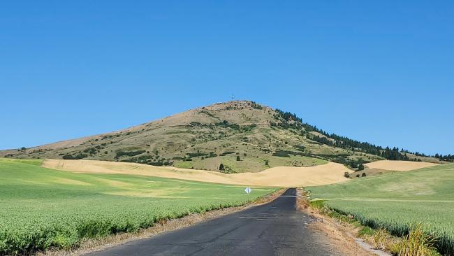Steptoe Butte - view as drive into State Park