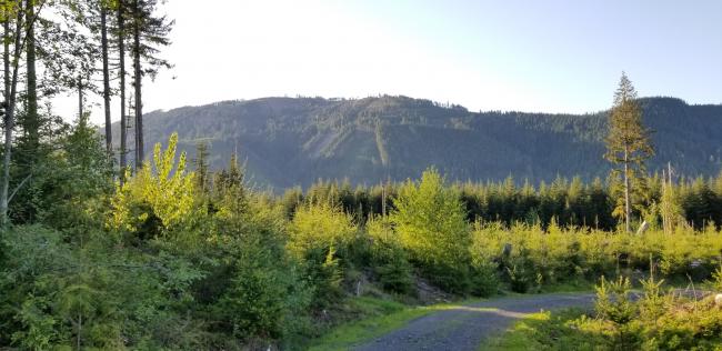 Looking North toward Stimson Hill, on way back from summit