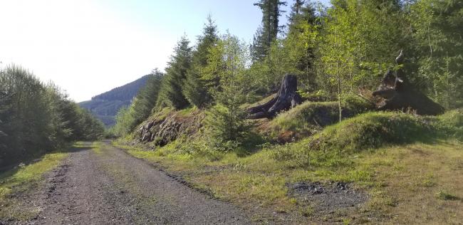 Leave main road, and head right here... ~1.5m into hike.