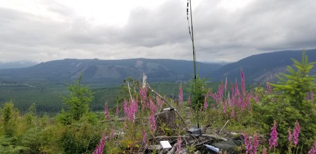 Summit activation... looking North/NE at Baby Blue and Blue Mountain