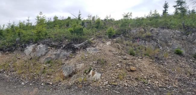 After 1.6 miles, I went off trail up this rock area...summit is ~100 feet away