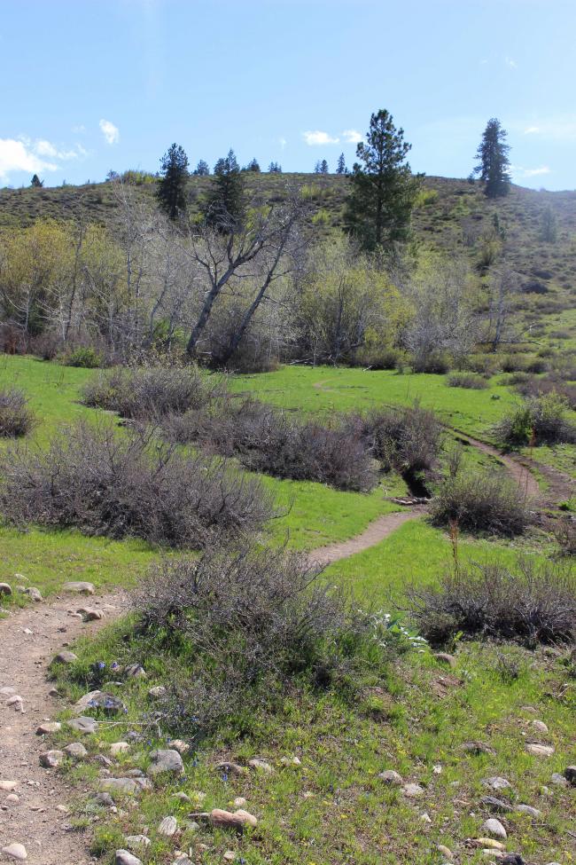 Lower section of trail on the way up