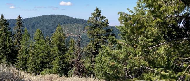 Black Mountain From Arbuckle Butte