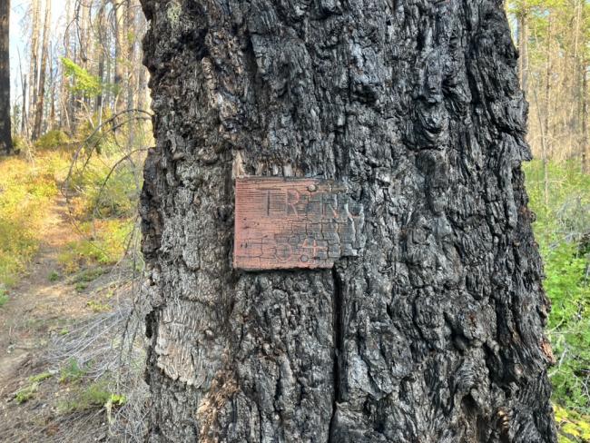 Fish Creek Mountain Trail Sign