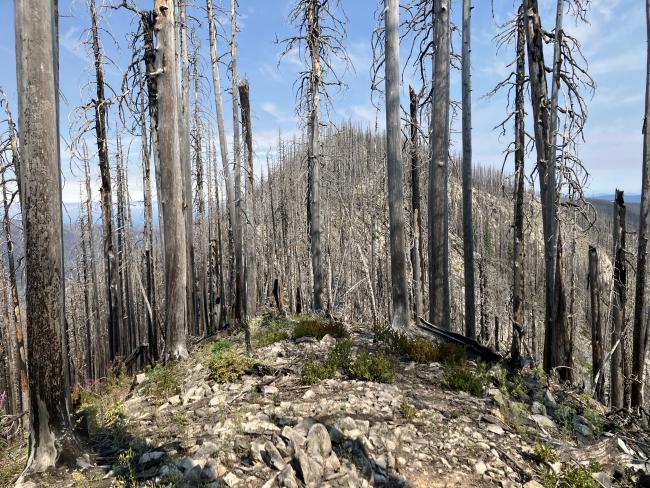 Fish Creek Mountain from Final False Summit