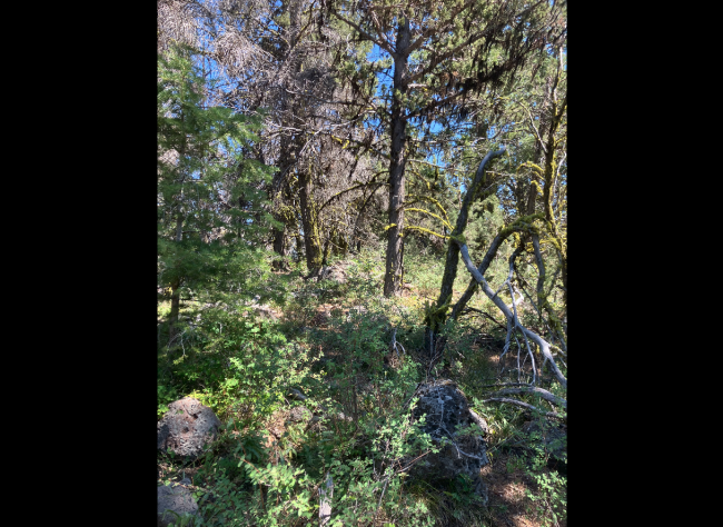Gold Hill Summit