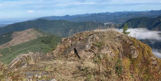 View from Gold Peak